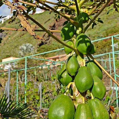 Casa Victor * La Orotava