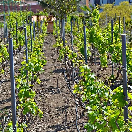 Фермерский дом Casa Victor *