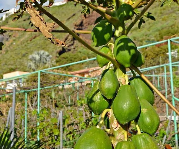Casa Victor * La Orotava